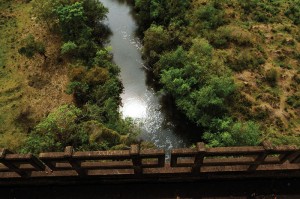 Imagem de um riacho com vegetação às margens, registro feito a partir do muro de uma ponte
