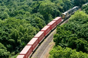 Composição MRS transportando contêineres em trecho da ferrovia cercado por vegetação nativa